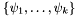 $\{\psi_1,\ldots,\psi_k\}$